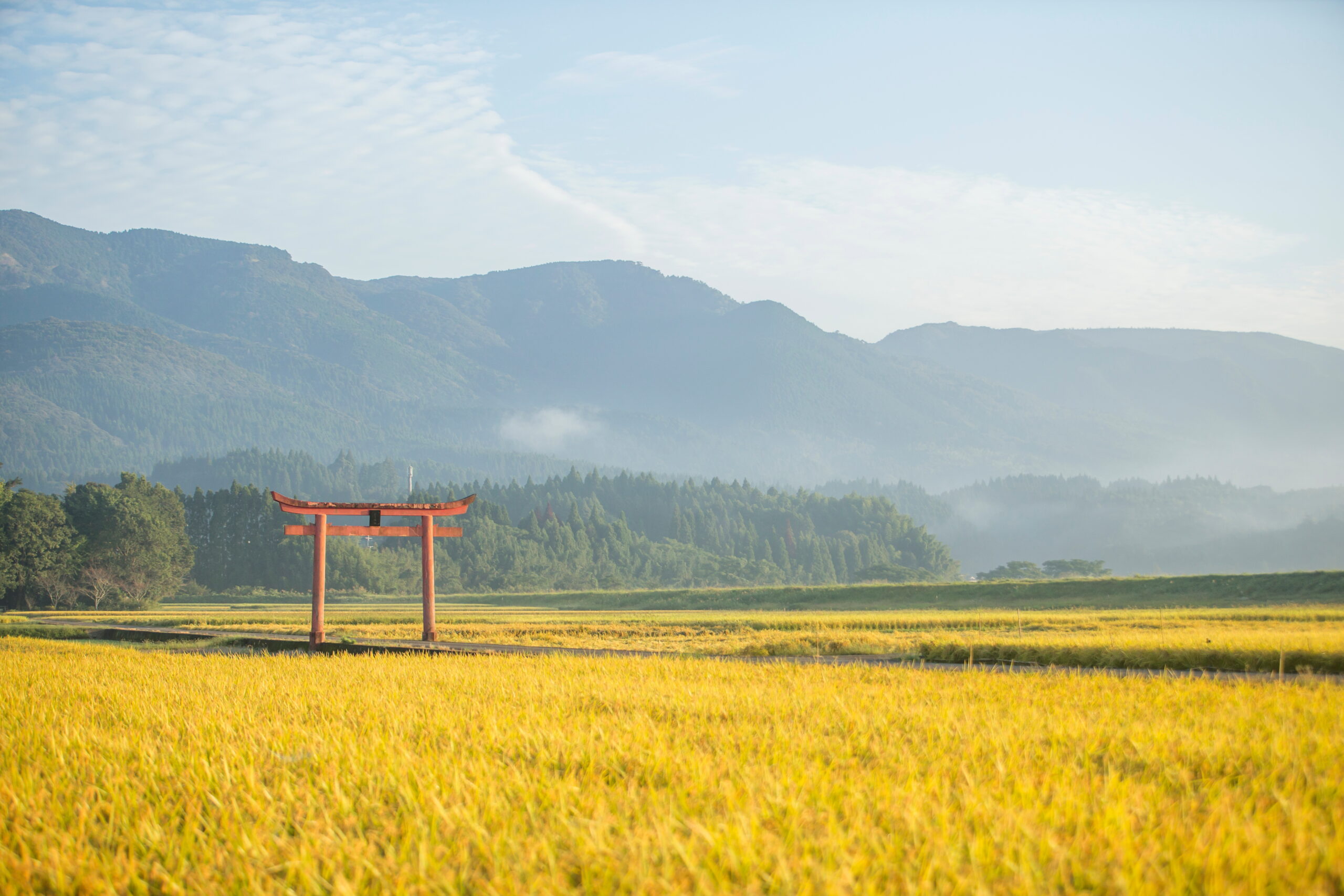 えびの市の田園風景