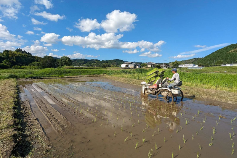 えびのファーム 栽培品目